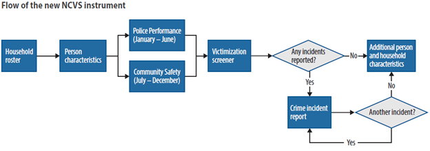 Flow of the New NCVS Instrument